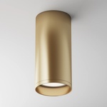Maytoni Focus C010CL-01MG