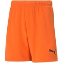 teamRise Short Jr 704943