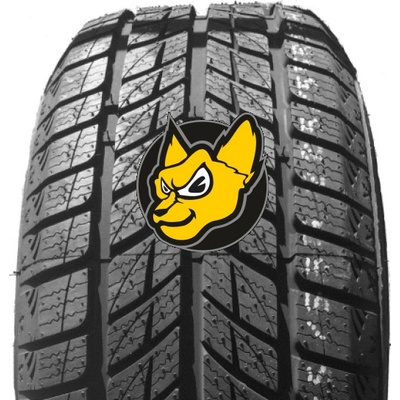 DoubleStar DW09 245/45 R18 96T