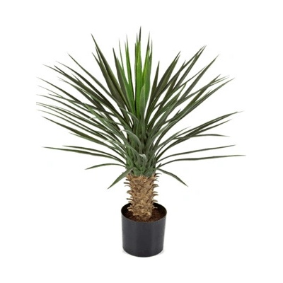 Umelá rastlina Yucca rostrata 75 cm
