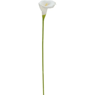 KS CALLA BIELA 70CM