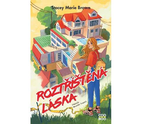 Roztříštěná láska