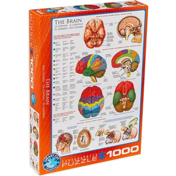 EUROGRAPHICS Пъзел Eurographics от 1000 части - Човешкото тяло, Мозък (EG60000256)