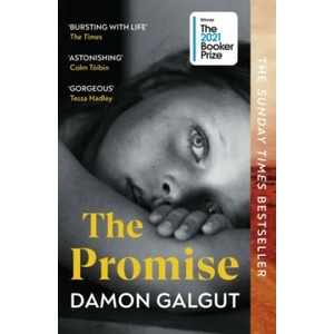 The Promise (ISBN: 9781529113877)