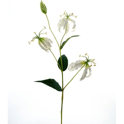 Gloriosa Lilie krémová V82 cm