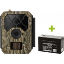 OXE Hornet 4G