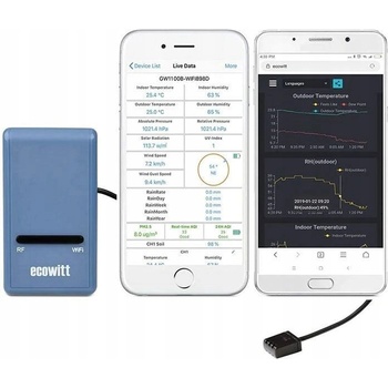 Hadex Ecowitt GW1100