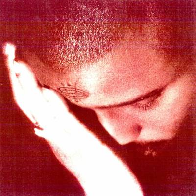 NOURISHED BY TIME - THE PASSIONATE ONES 1 CD