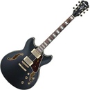 Image 1 of Ibanez AS73G Black Fade