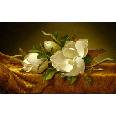 Magnólie na zlatém sametu 65x40cm - Martin Johnson Heade