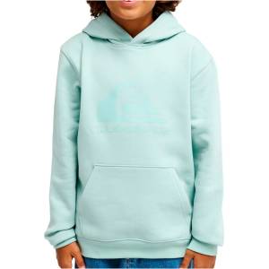 Quiksilver Детски суичър Quiksilver Kid's Comp Logo Hoodie - Blue Haze - размер 14 (US) (704-4968-0514)