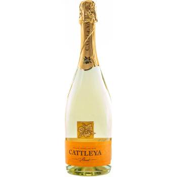 CATTLEYA Катлея Брут