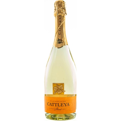 CATTLEYA Катлея Брут