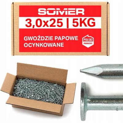 Strešné klince s pozinkovaným povrchom 3,0x25 mm, 5 kg na strešnú lepenku