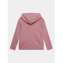 Under Armour Ua Rival Fleece Bl Hoodie 1379615 Ružová