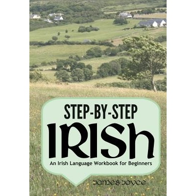 Step-By-Step Irish: An Irish Language Workbook for Beginners Joyce James Paperback