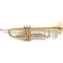 Roy Benson TR-202