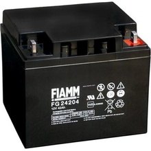 Fiamm FG24204 42Ah 12V M6