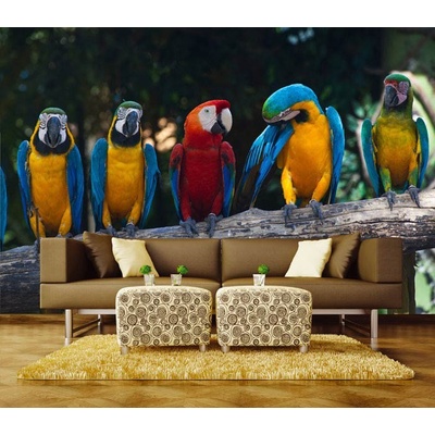 Dimex XL-206 vliesová fototapeta na zeď Colourful macaw rozměry 330 x 220 cm