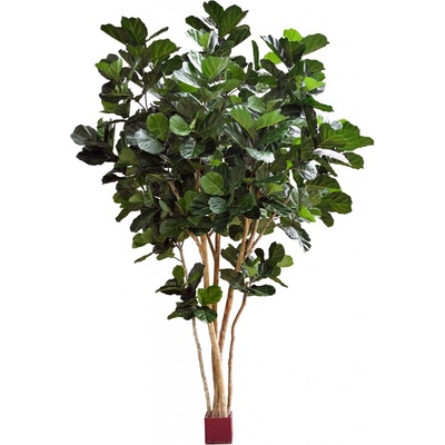 Luxusní umělý strom FIDDLE LEAF GIANT NITIDA TREE, 420cm