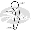 Gates KP25601XS1