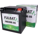 Fulbat FHD30HL-BS GEL