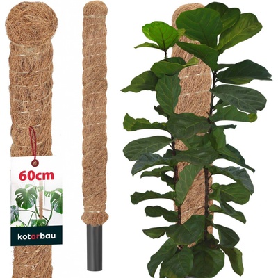 Kokosový kolík 60 cm x 32 mm