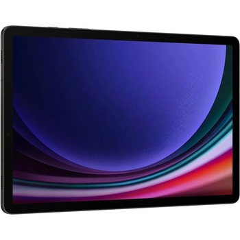 Samsung Galaxy Tab S9 5G SM-X716BZAAEUE