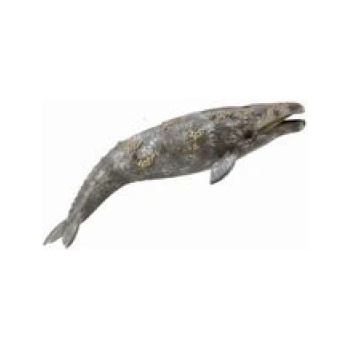 CollectA Płetwal szary