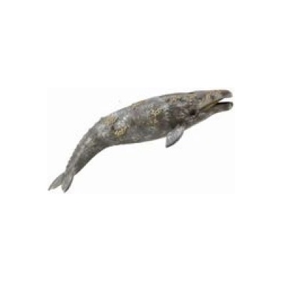 CollectA Płetwal szary