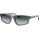 Ray-Ban RB2225 667532