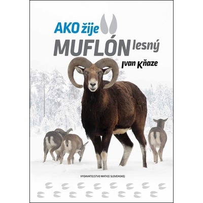 Ako žije muflón lesný