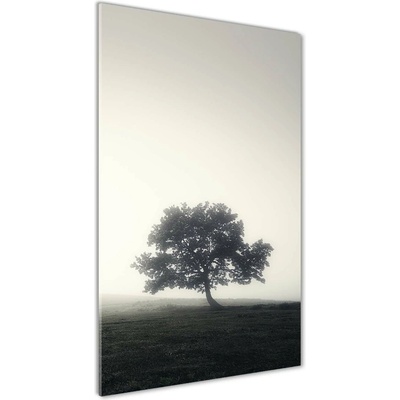 Vertikálny fotoobraz na skle Drevo v hmle 50x100 cm