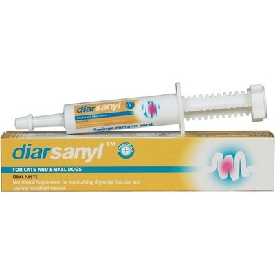 Cinch-It Diarsanyl pasta 10 ml trávenie