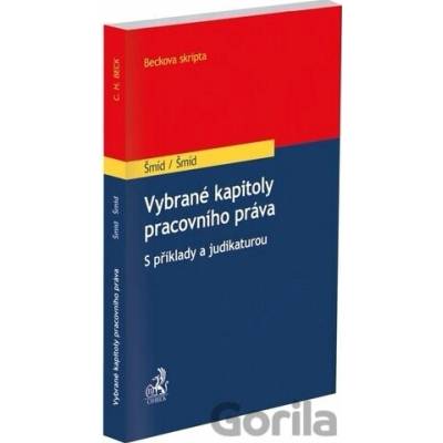 Vybrané kapitoly pracovního práva