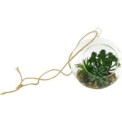 PROHOME - Sukulent ve skle 15x15x17cm