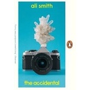The Accidental - Ali Smith