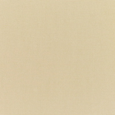 Venkovní látka Sunbrella Solids and Stripes - 5422 Antique Beige běžný metr