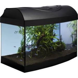 Diversa Аквариум STARTUP 40 LED Expert 6W - ДЪГА - ЧЕРЕН