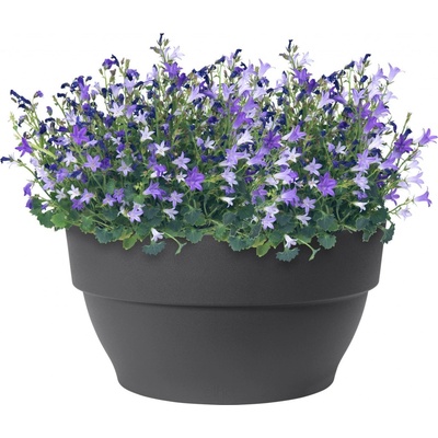 Elho květináč Vibia Campana Bowl - anthracite 27 cm