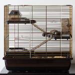 INTER-ZOO Pet Products Клетка за гризачи Gigant II Antique 58 x 38 x 55 см