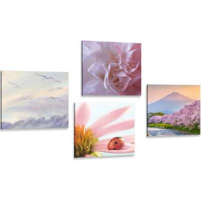 Set obrazů okouzlující jemná příroda - 4x 40x40