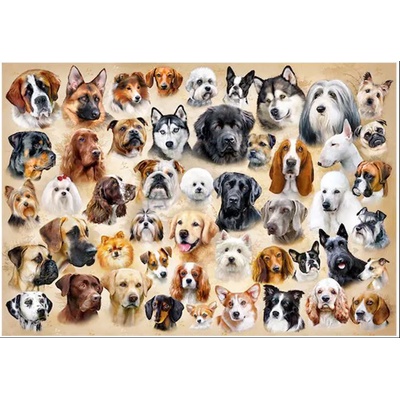 Castorland - Puzzle Collage with Dogs - 1 500 piese