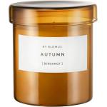 blomus Ароматна свещ от соев восък с време на горене 45 час Valoa Autumn - Blomus (65284)