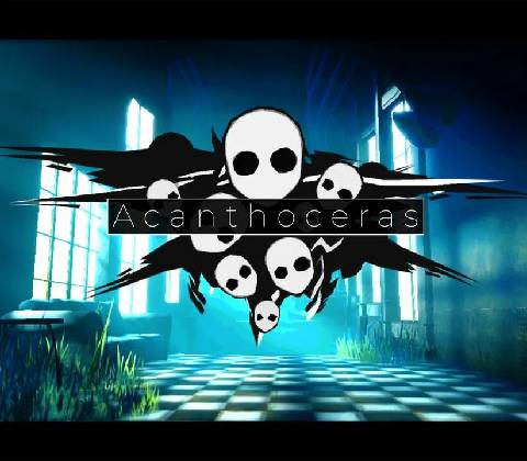 Acanthoceras