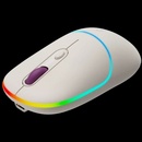 Canyon CNS-CMSW22RC