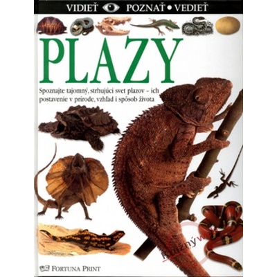 Plazy - vidieť, poznať, vedieť