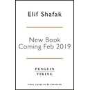 10 Minutes 38 Seconds in this Strange World - Elif Shafak