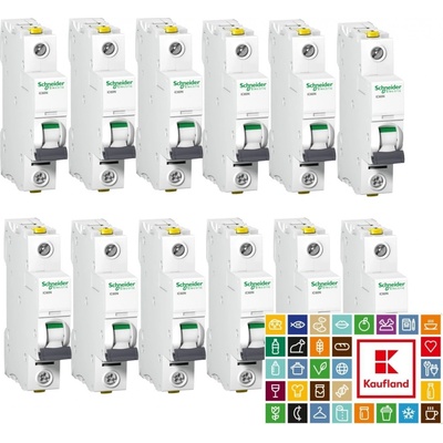 Schneider Electric A9F03110P 12 ks