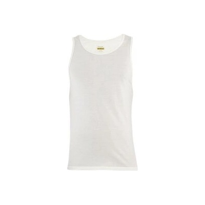 Icebreaker Anatomica Tank Men Undyed béžová – Zbozi.Blesk.cz